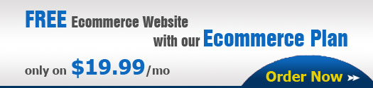 Free Ecommerce website with our Ecommerce plan Free Ecommerce website with our Ecommerce plan